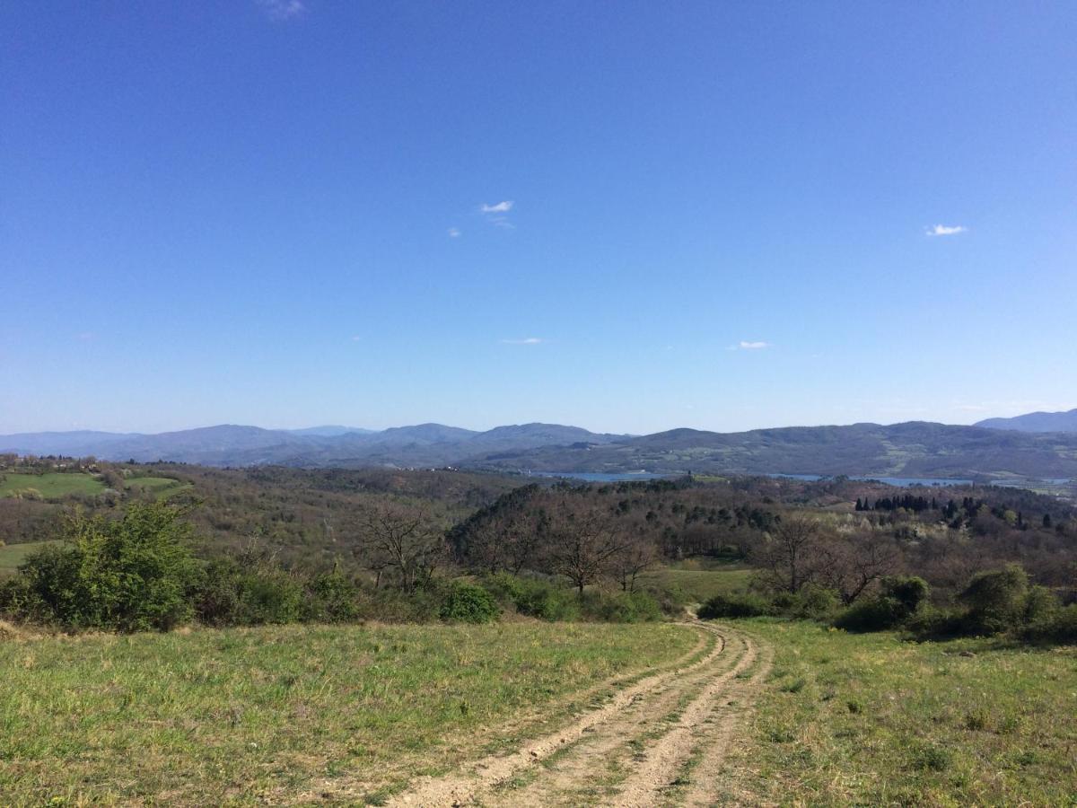 Agriturismo Corzano Barberino di Mugello Buitenkant foto